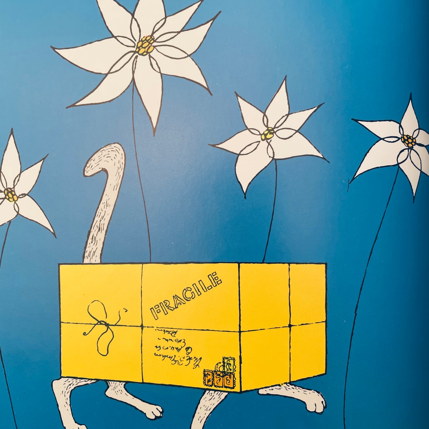 My Cat Likes to Hide in Boxes