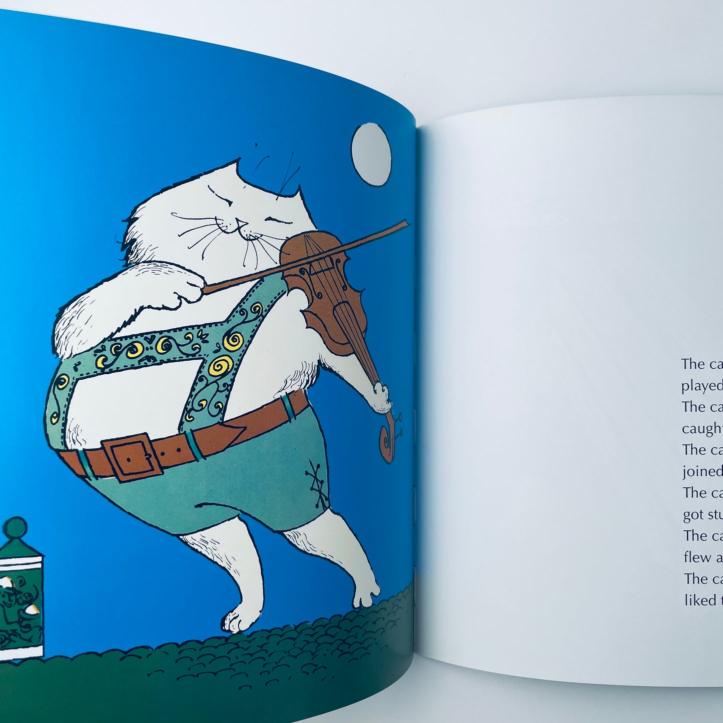 My Cat Likes to Hide in Boxes