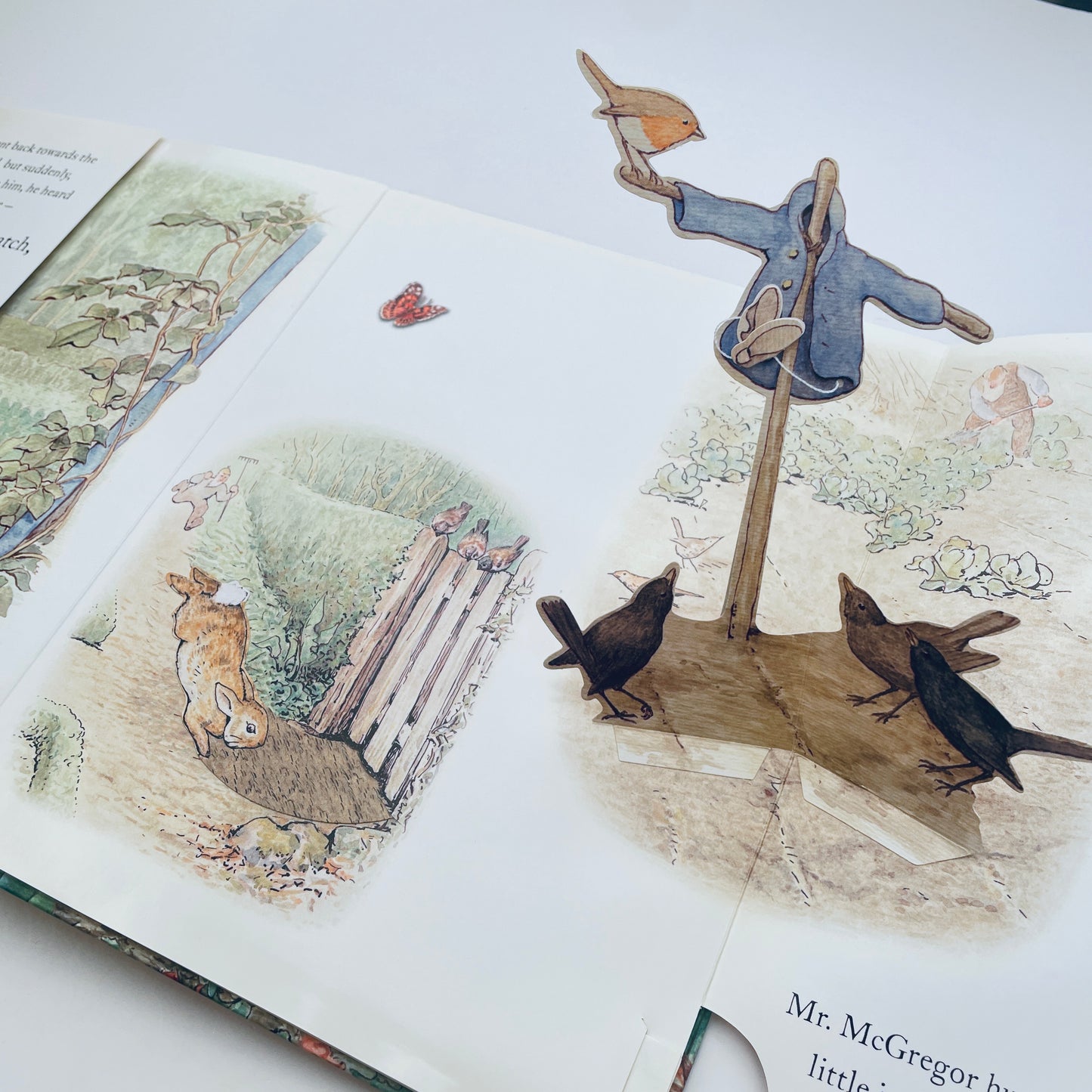 The Tale of Peter Rabbit A Pop-up Adventure