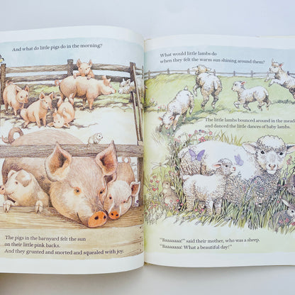 Baby Animals