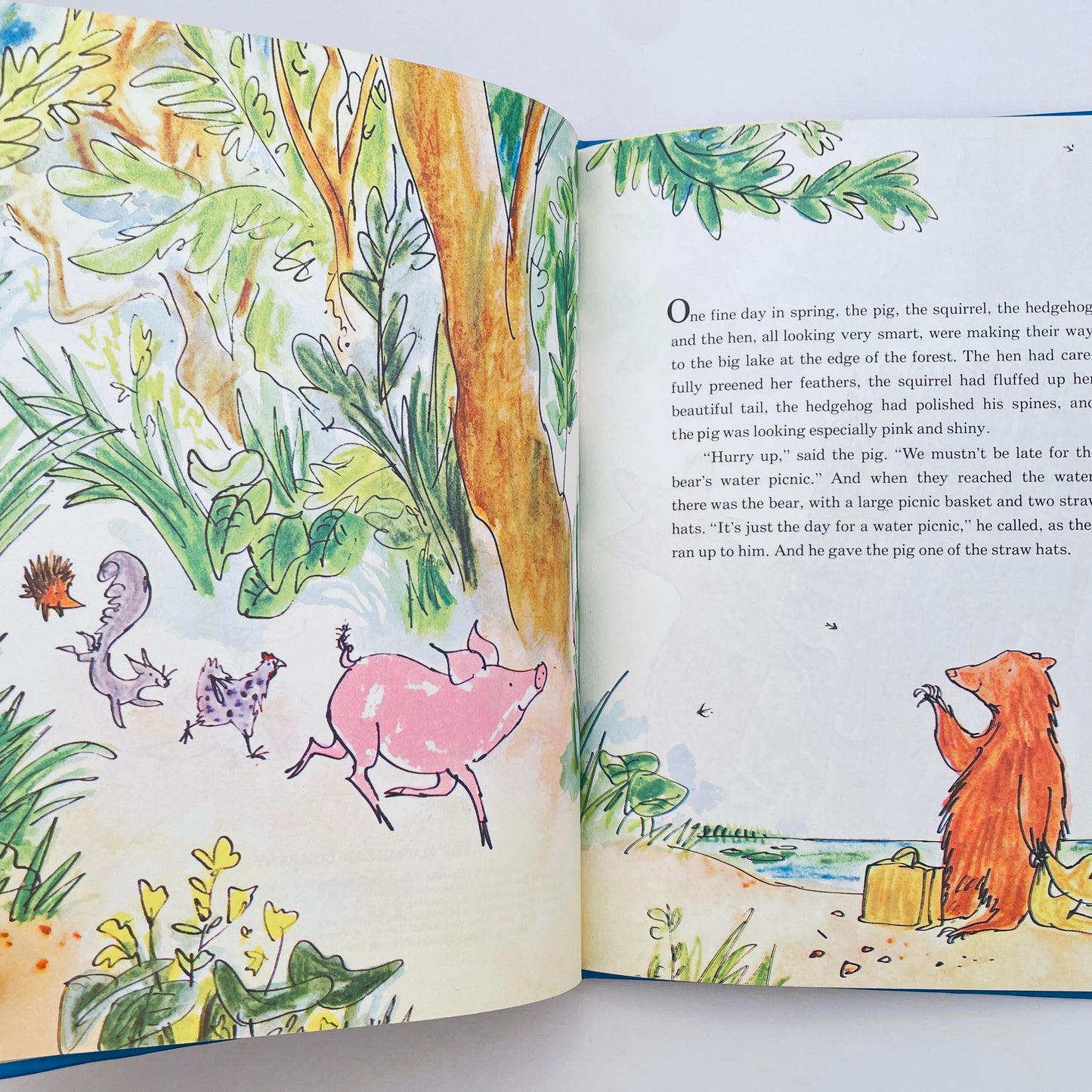 The Bear's Water Picnic