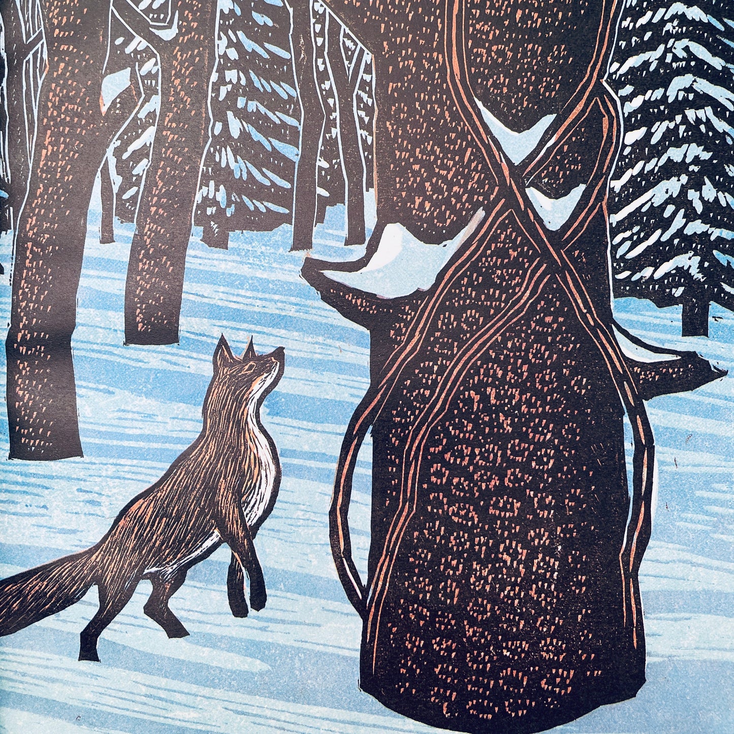 Fox's Dream