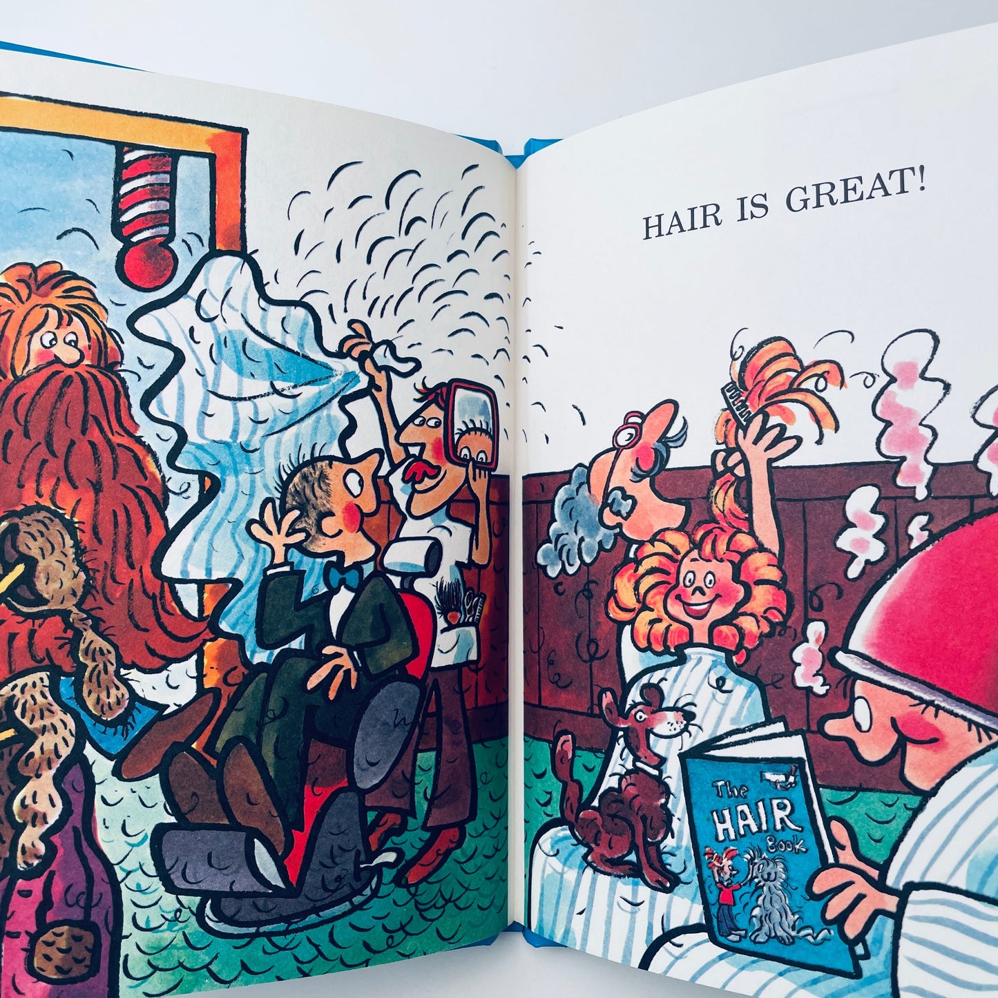 The Hair Book