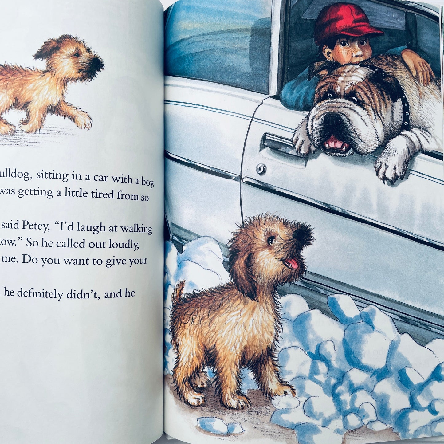 The Puppy Who Wanted a Boy