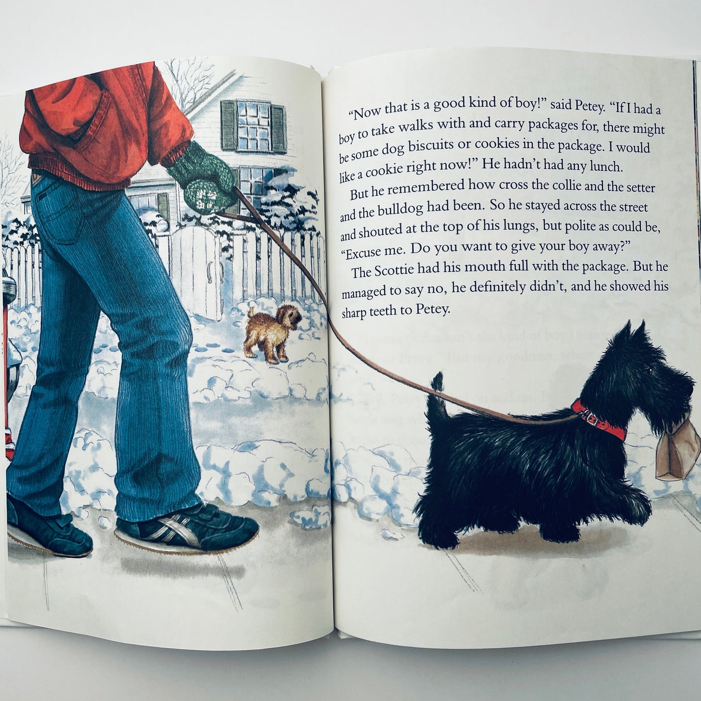 The Puppy Who Wanted a Boy