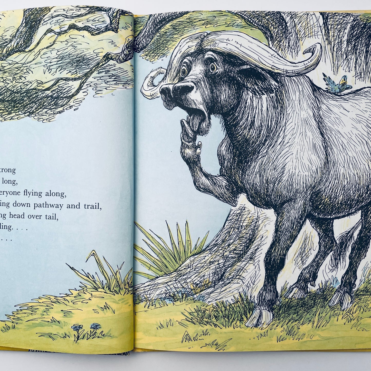 "Stand back," Said the Elephant, "I'm Going to Sneeze!"