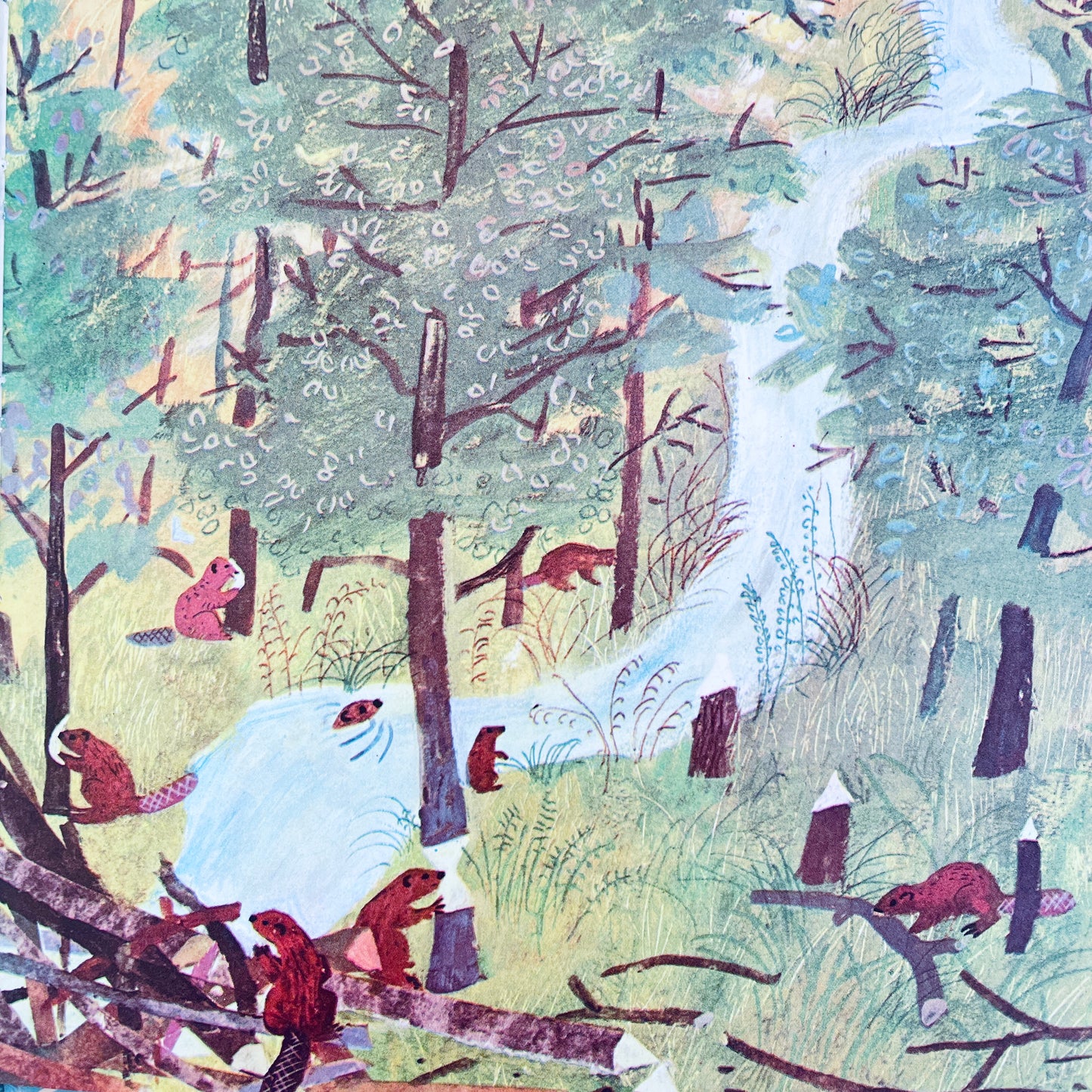 The Beaver Pond
