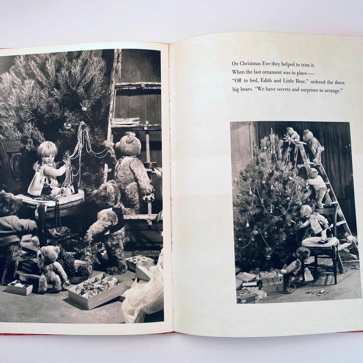 A Gift from the Lonely Doll