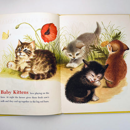 Baby Farm Animals
