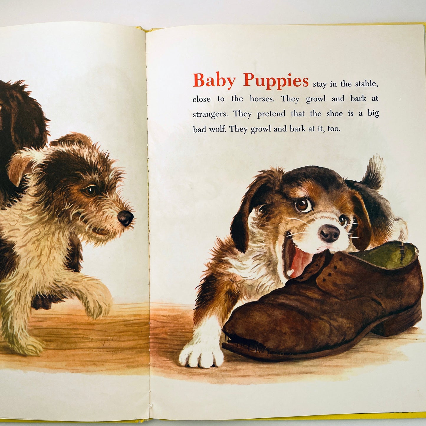 Baby Farm Animals