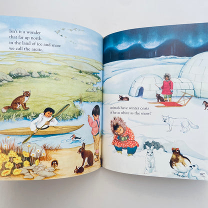 Eloise Wilkin Stories