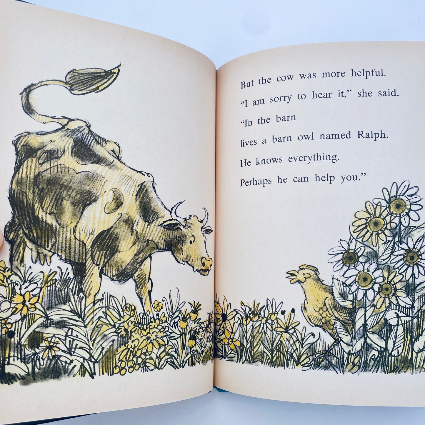 The Strange Disappearance of Arthur Cluck (An I CAN READ Mystery)