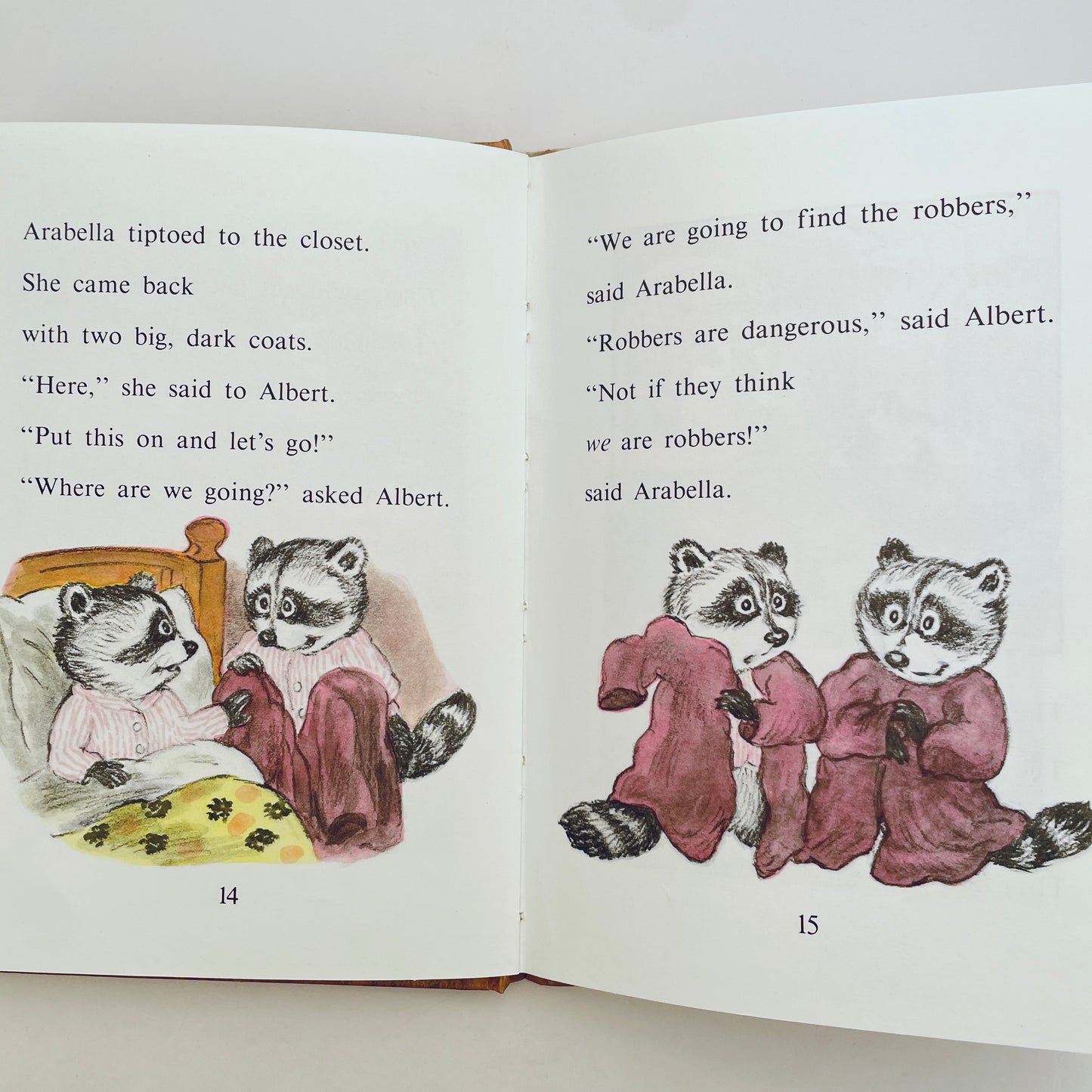 The Case of the Two Masked Robbers
