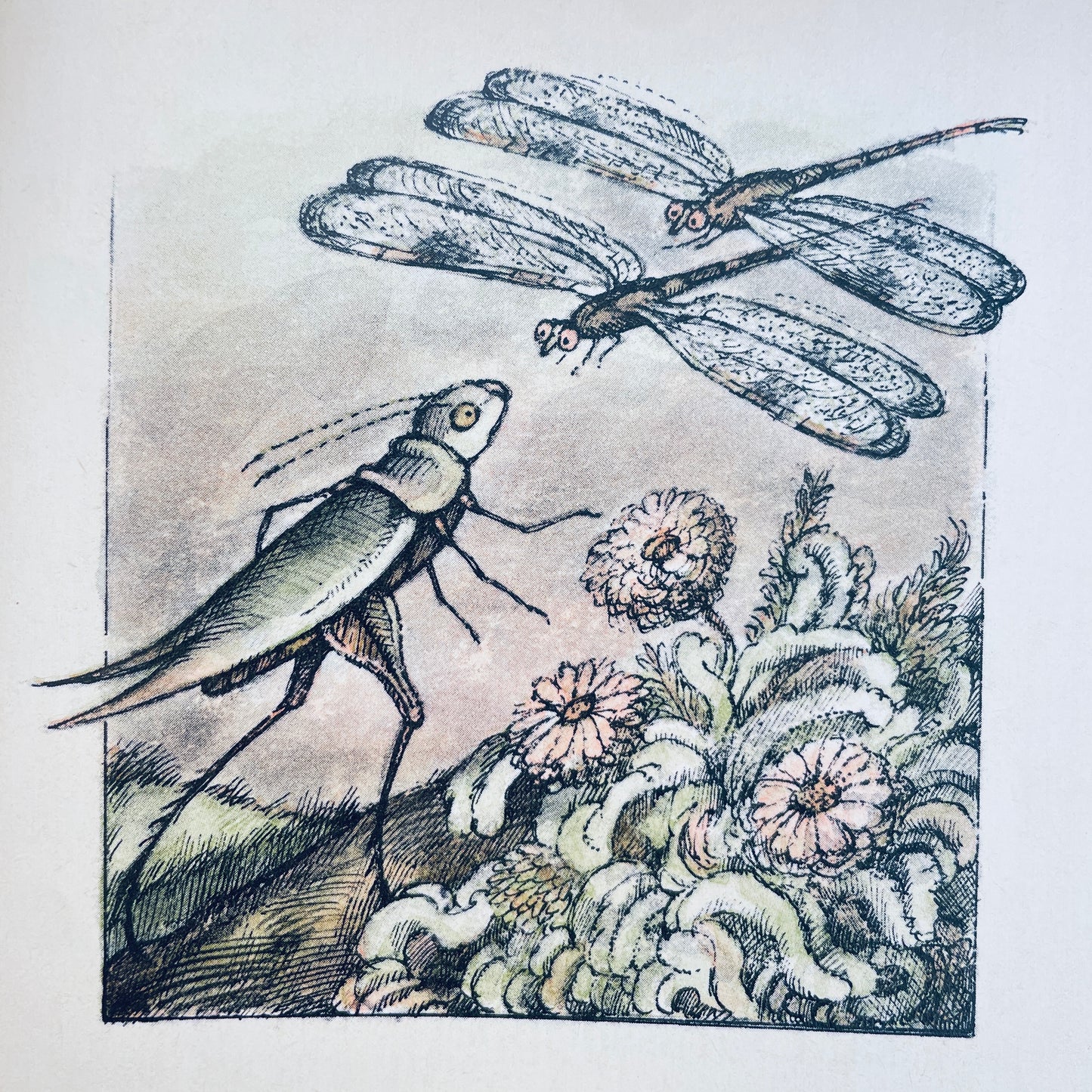 Grasshopper on the Road