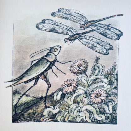 Grasshopper on the Road