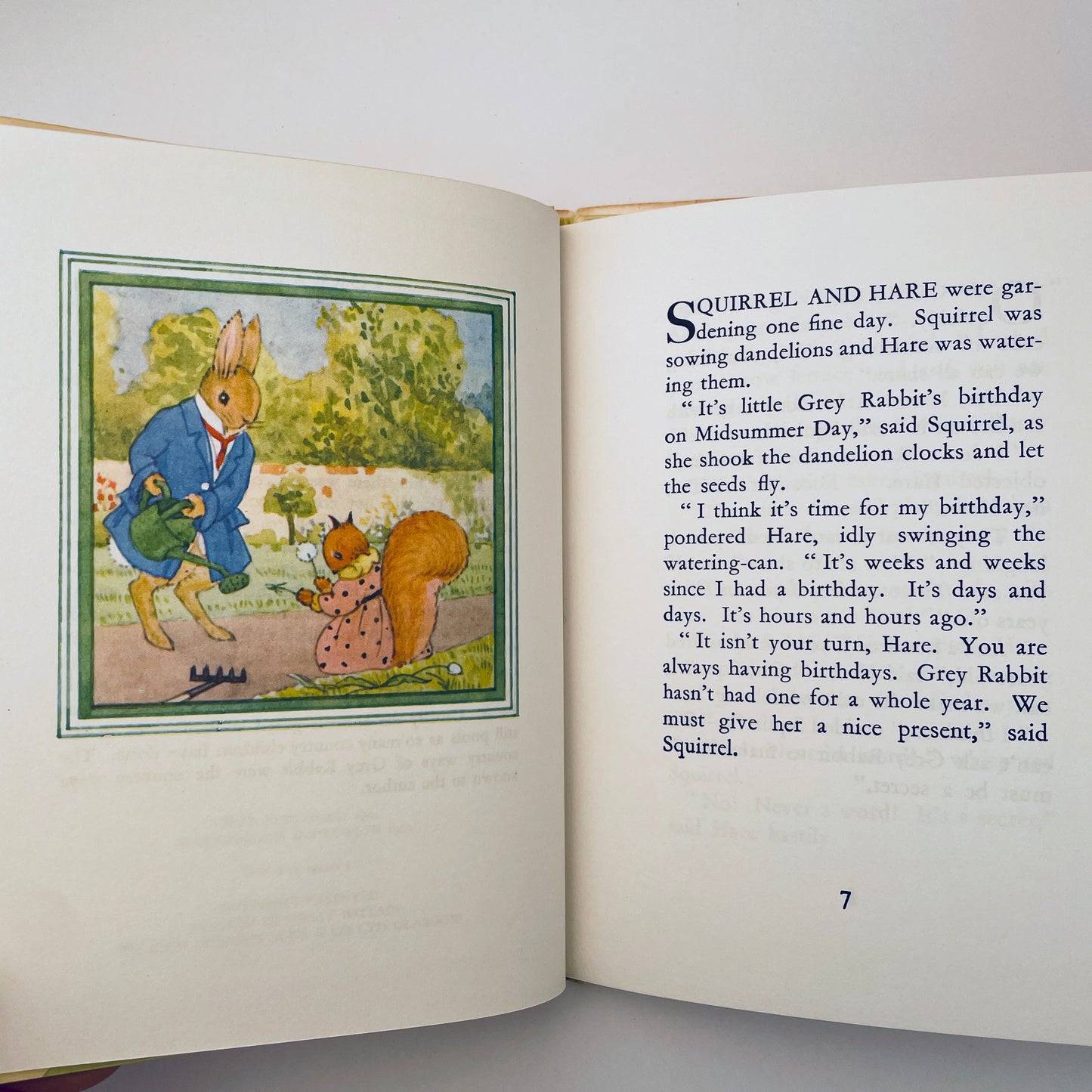 Little Grey Rabbit's Birthday