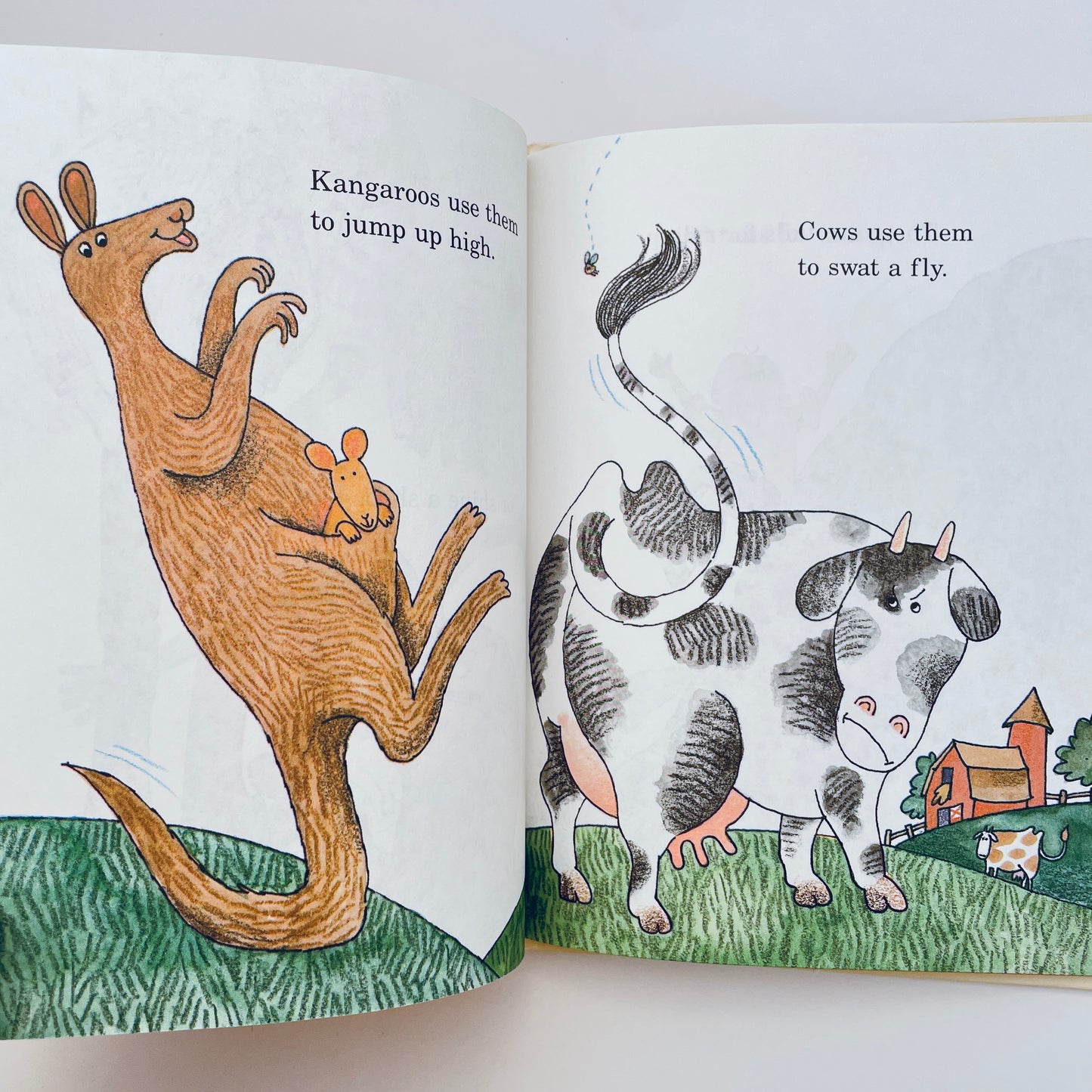 The Silly Tail Book