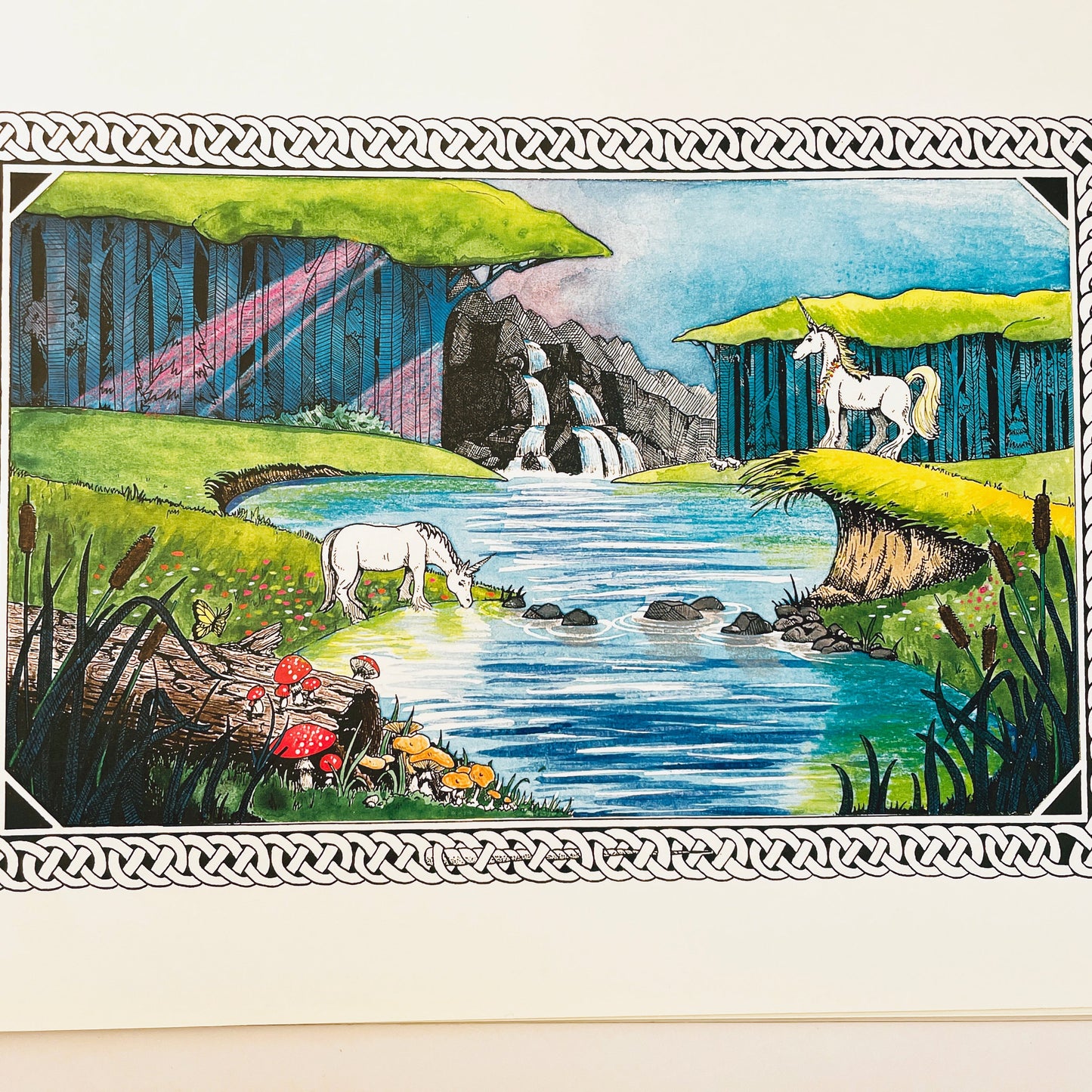 The Unicorn and the Narwhal