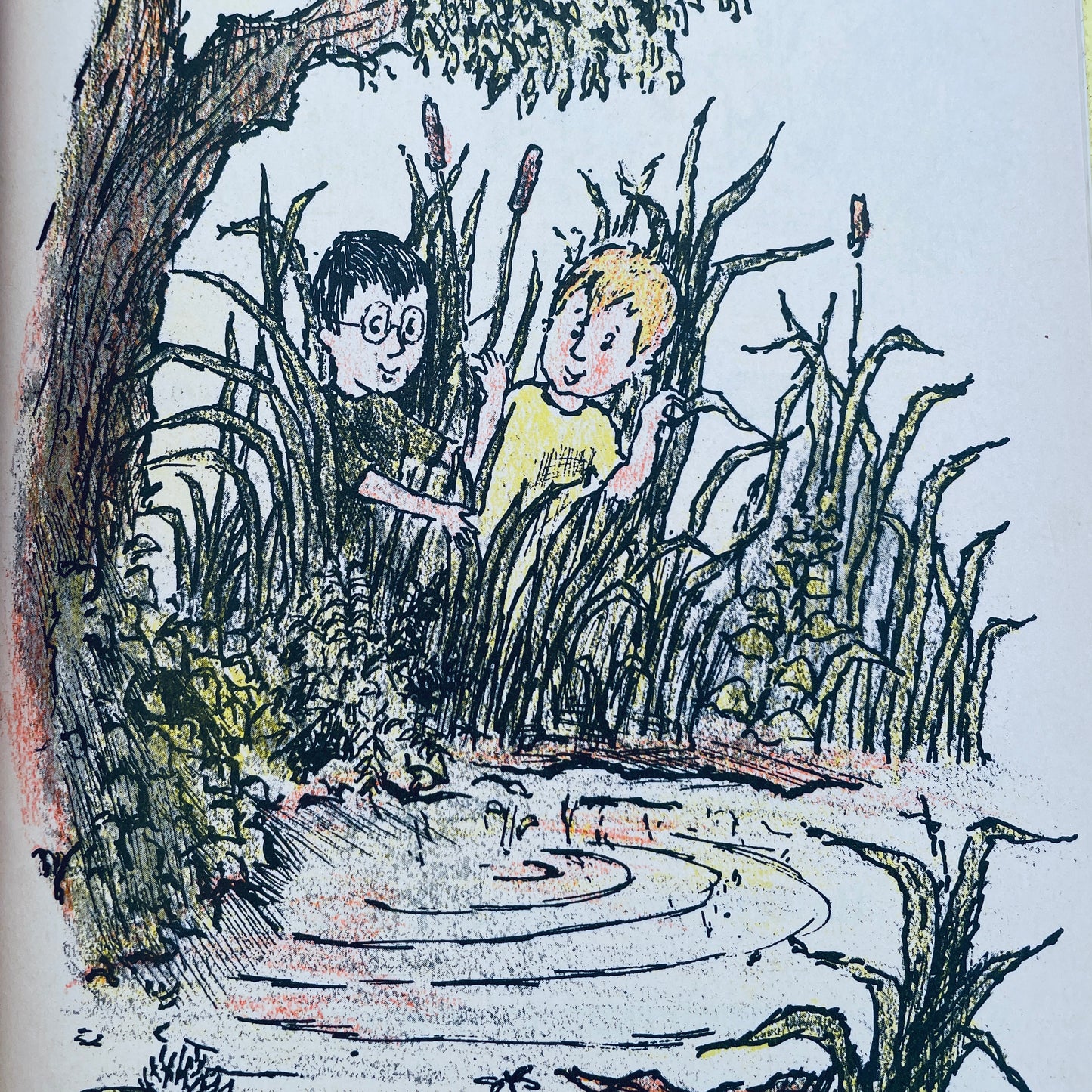 The Toad Hunt (A Science I CAN READ Book)