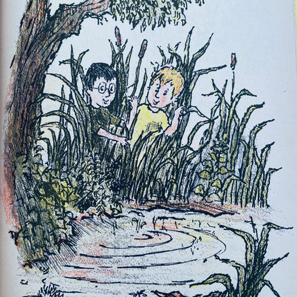 The Toad Hunt (A Science I CAN READ Book)