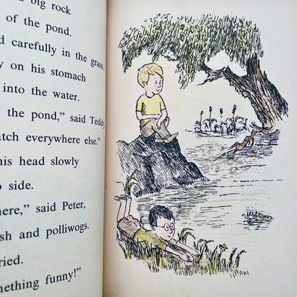 The Toad Hunt (A Science I CAN READ Book)