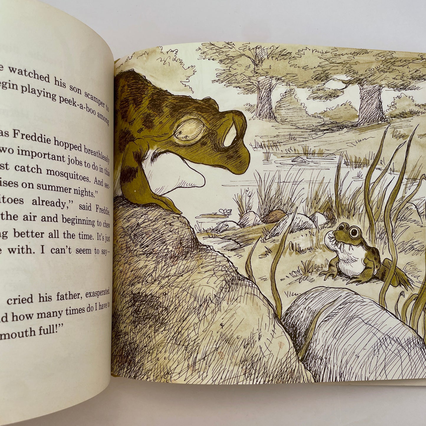 The Voices of Greenwillow Pond