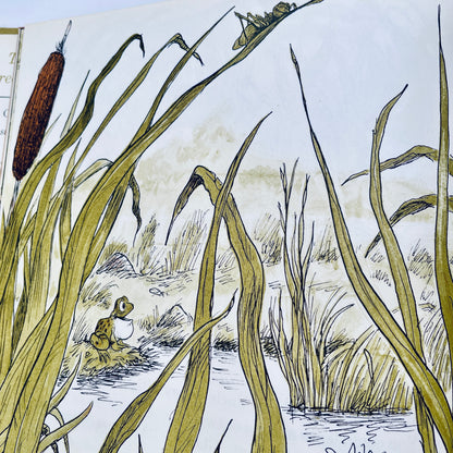 The Voices of Greenwillow Pond