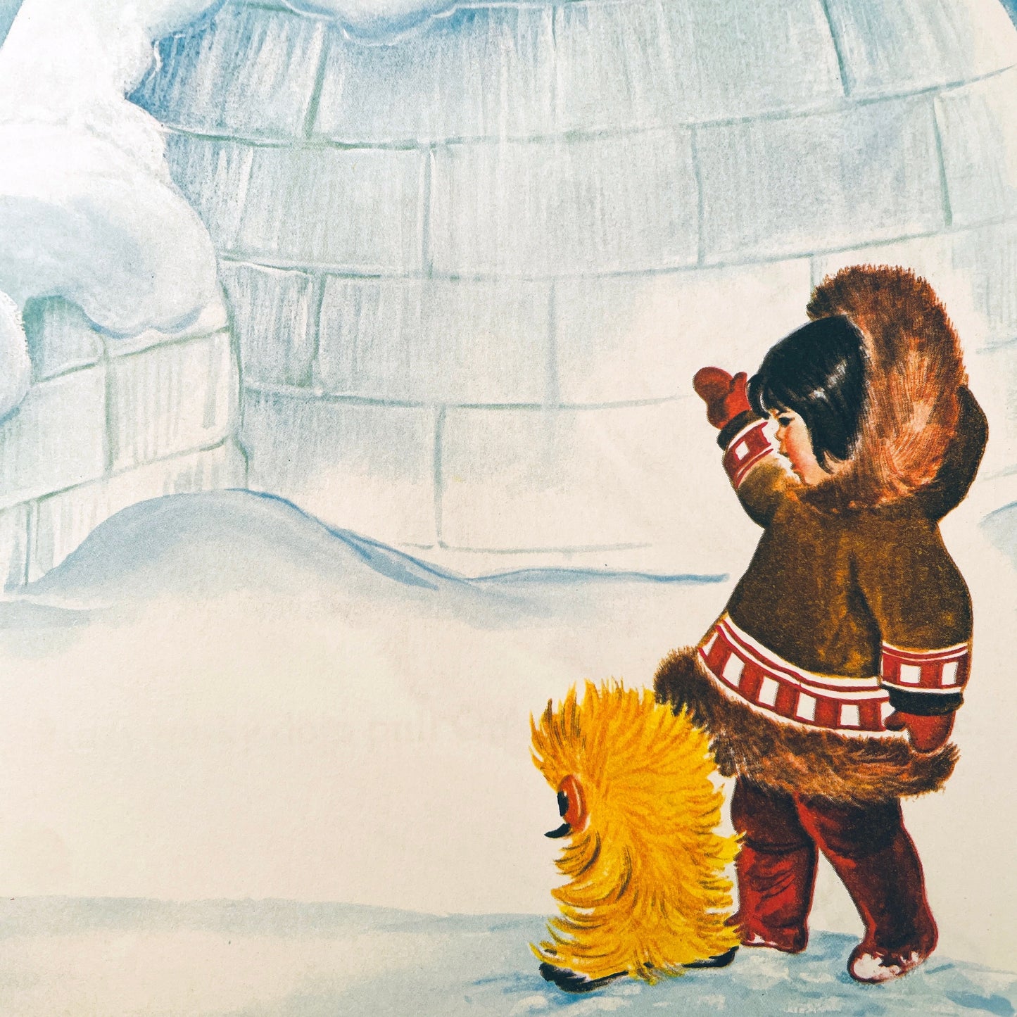 The Ookpik Book