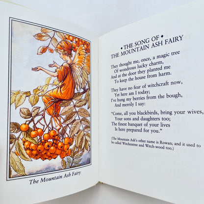 Flower Fairies of the Autumn