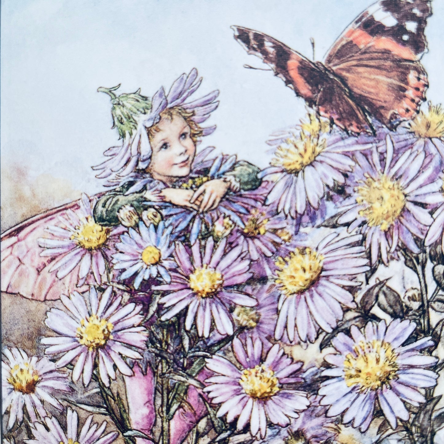 Flower Fairies of the Autumn