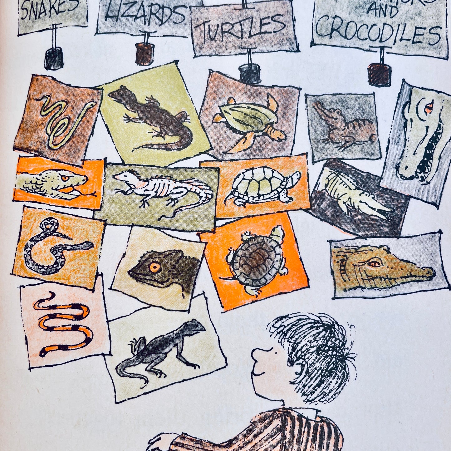 Benny's Animals (A Science I CAN READ Book)