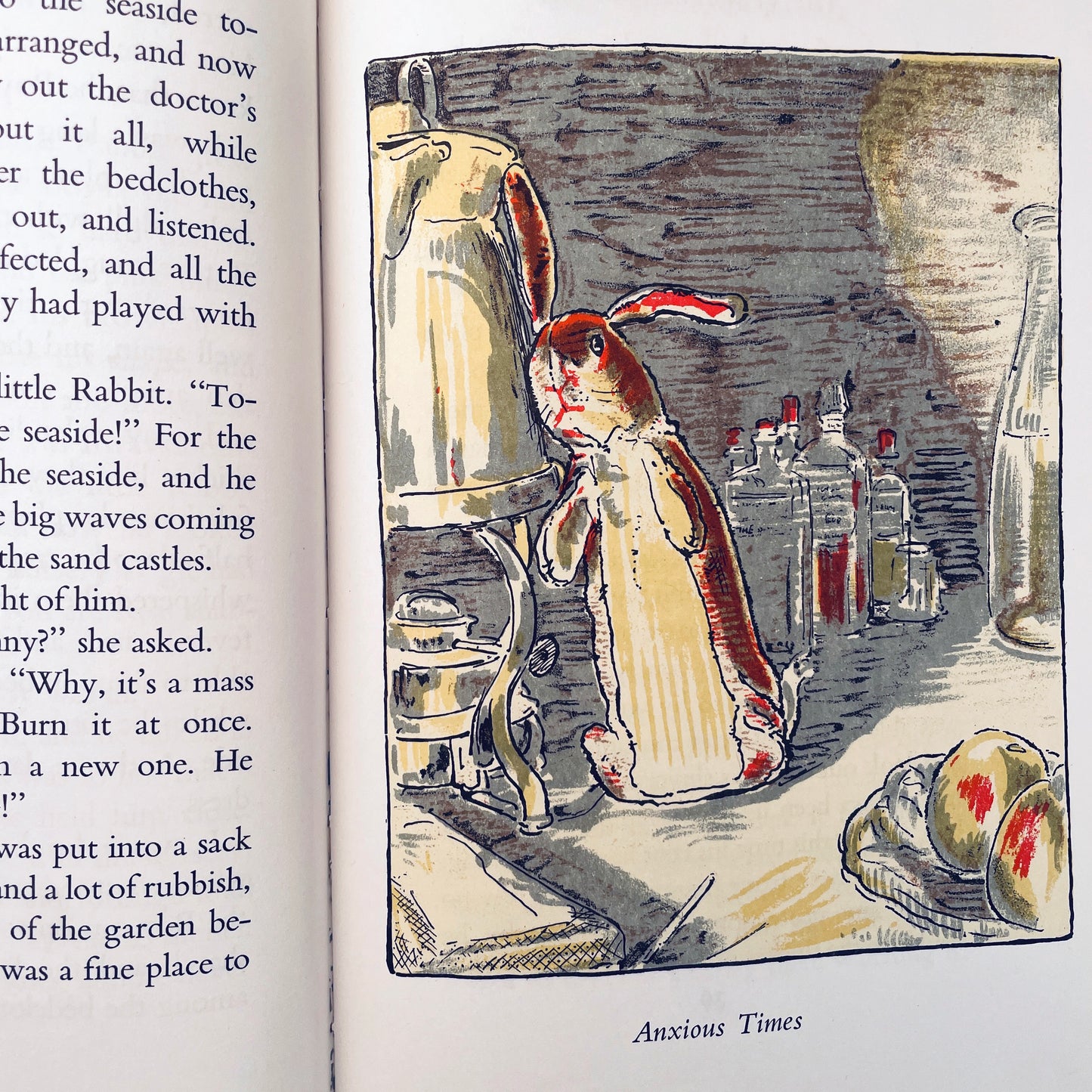 The Velveteen Rabbit