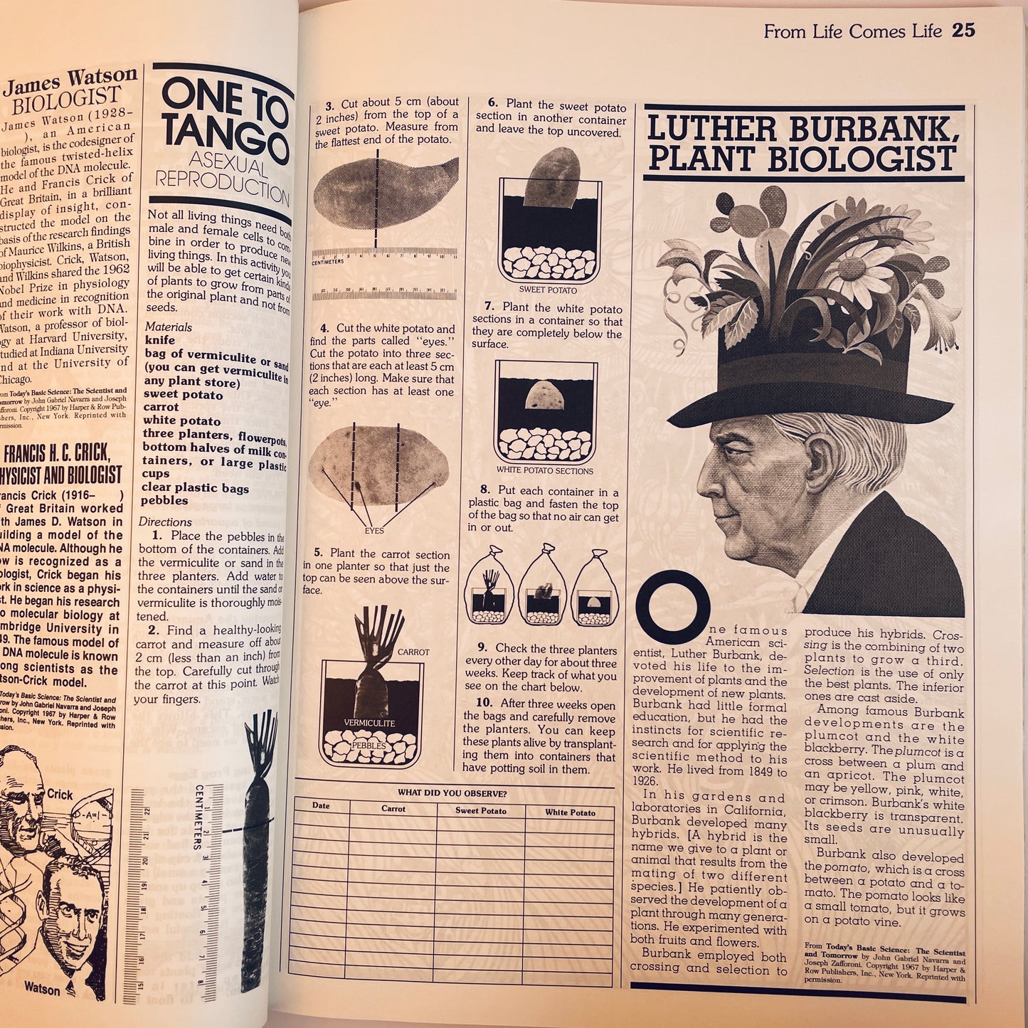 The Whole Cosmos: Catalogue of Science Activities