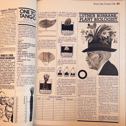 The Whole Cosmos: Catalogue of Science Activities