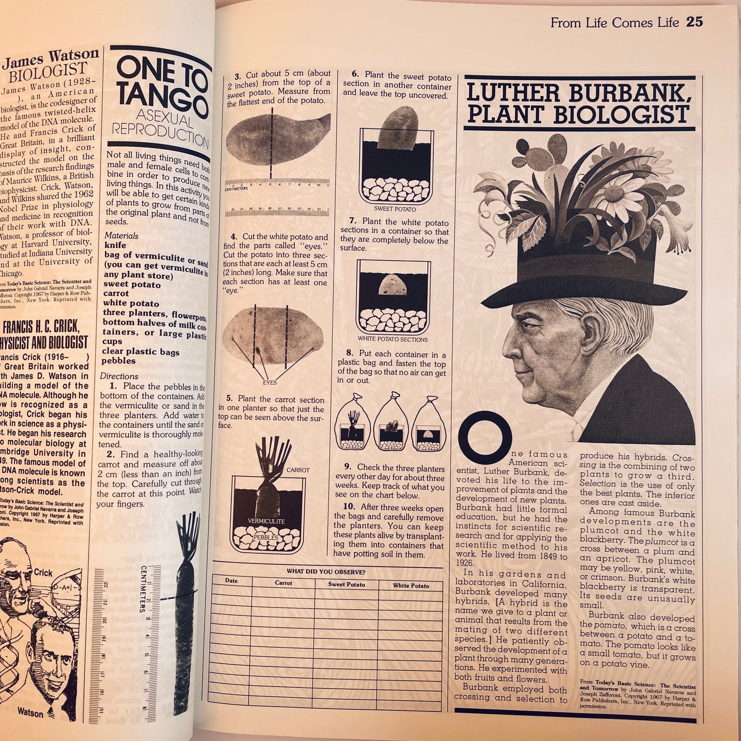 The Whole Cosmos: Catalogue of Science Activities