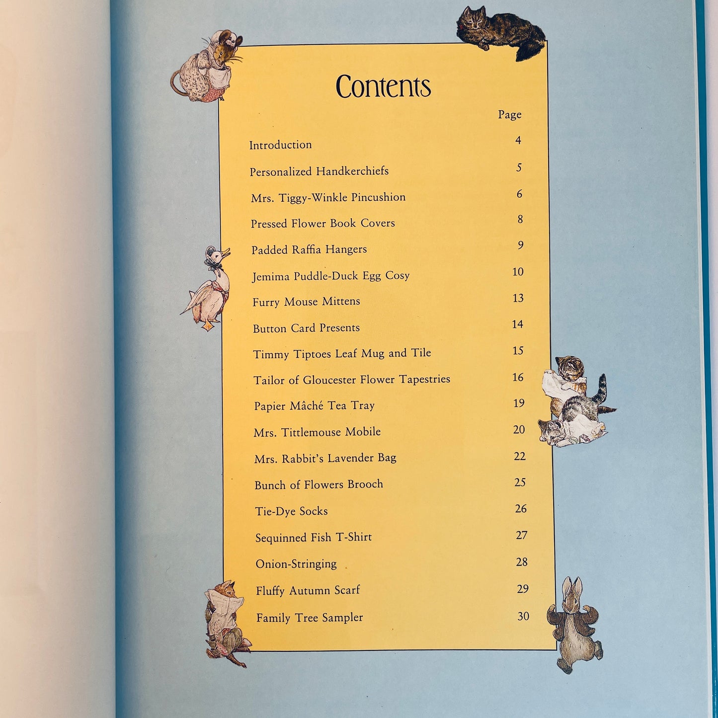 The Peter Rabbit Craft Book