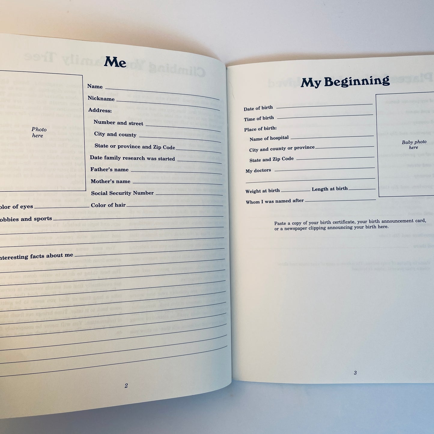 My Family Tree Workbook: Genealogy for Beginners