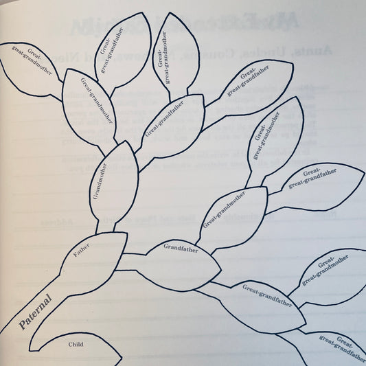 My Family Tree Workbook: Genealogy for Beginners