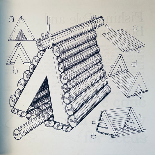 Snips & Snails & Walnut Whales: Nature Crafts for Children