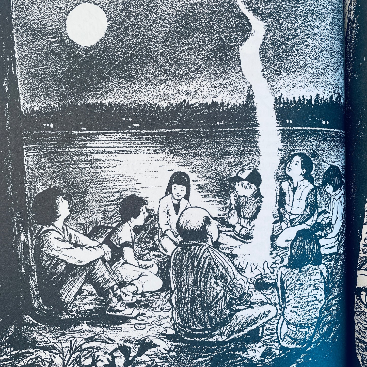 The Kids Campfire Book