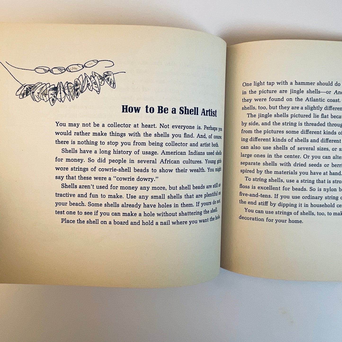 The Beachcomber's Book