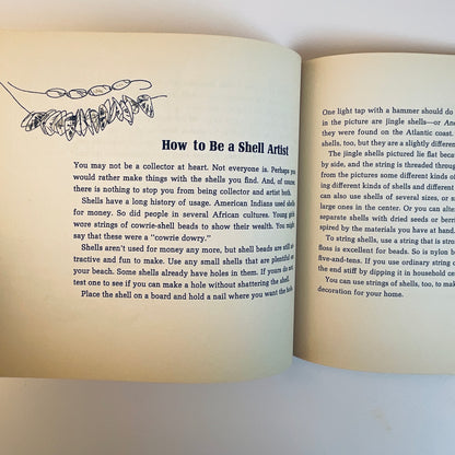 The Beachcomber's Book