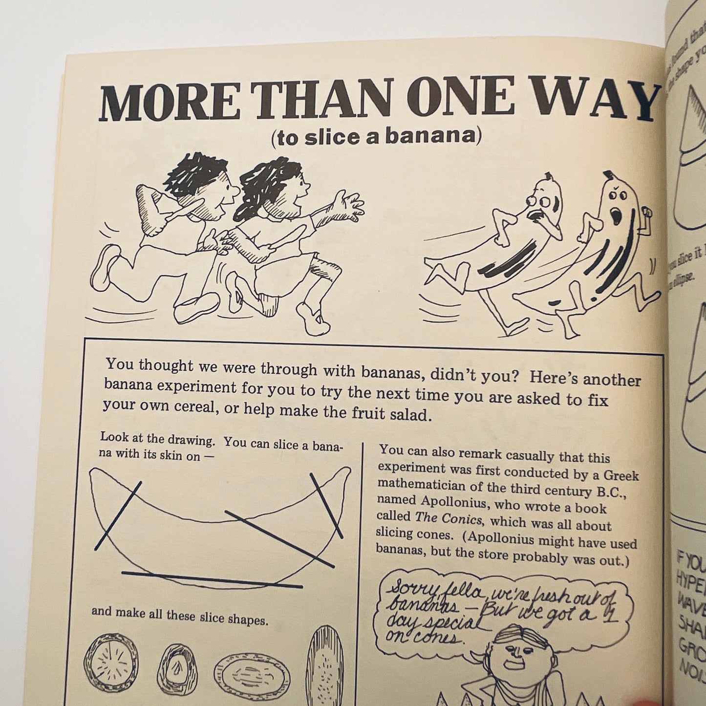 The I Hate Mathematics! Book