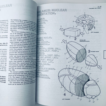 The Human Brain Coloring Book