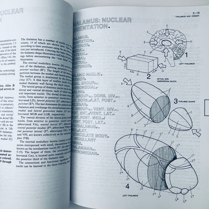 The Human Brain Coloring Book