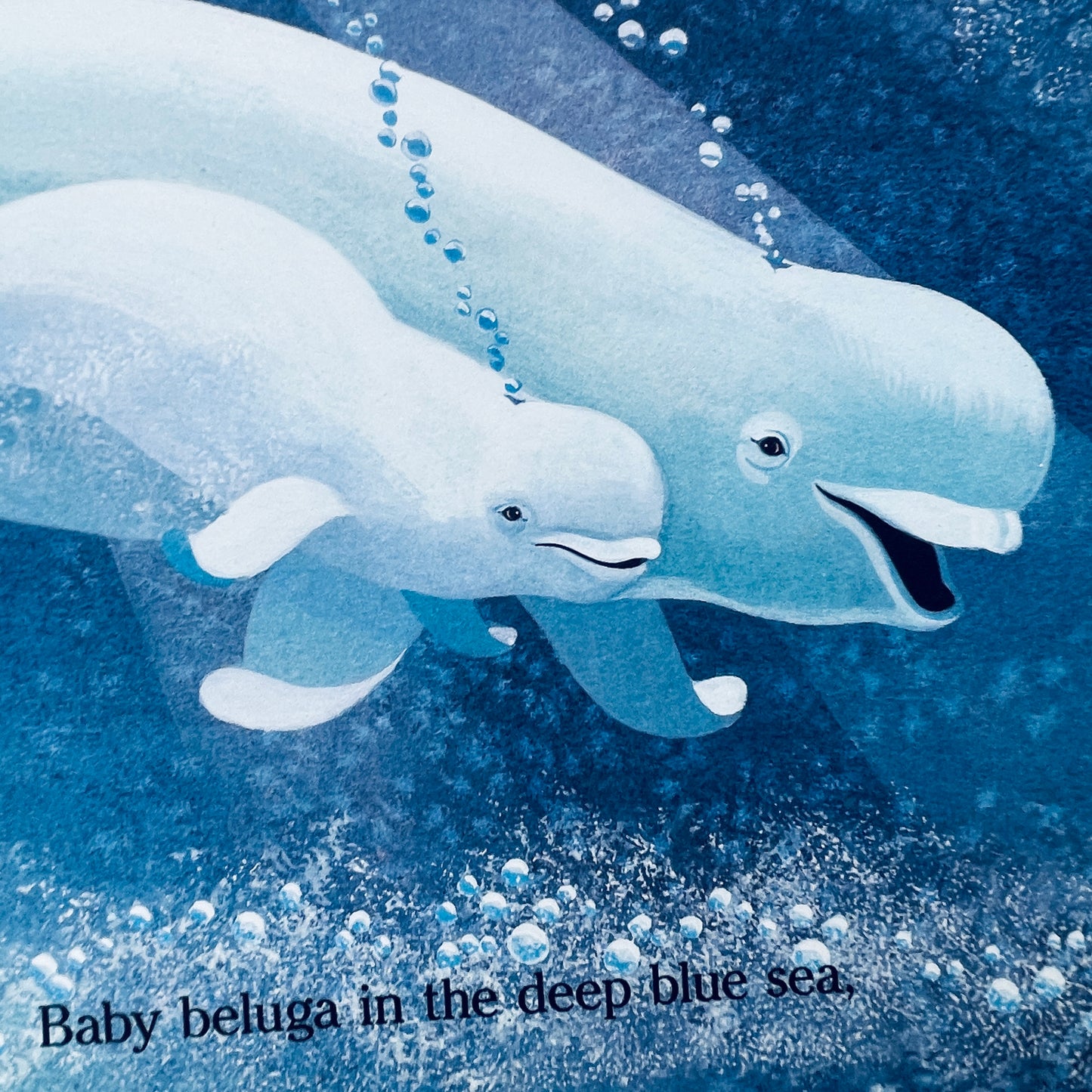 Baby Beluga (Raffi Songs to Read)