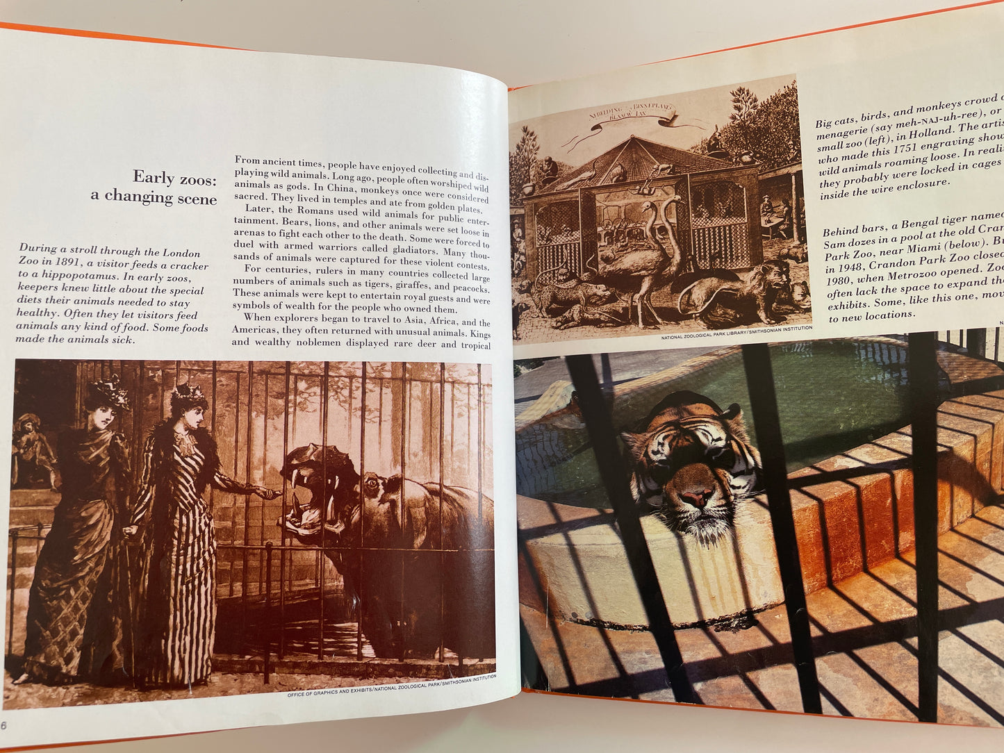 Zoos Without Cages