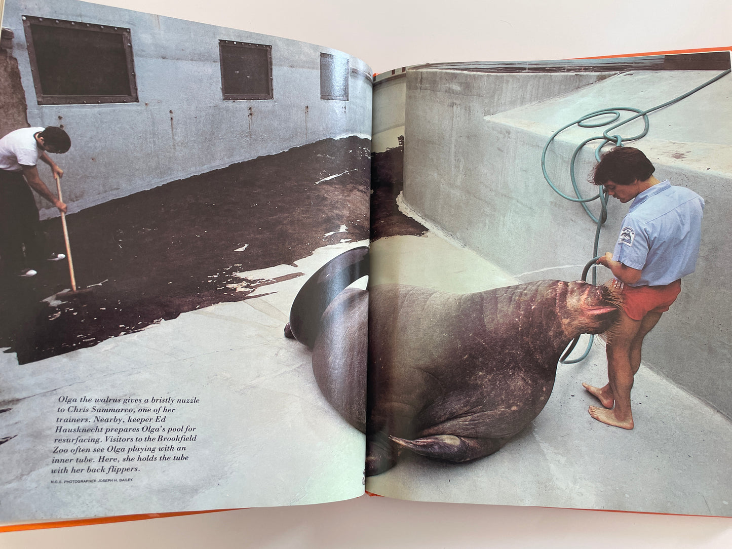 Zoos Without Cages