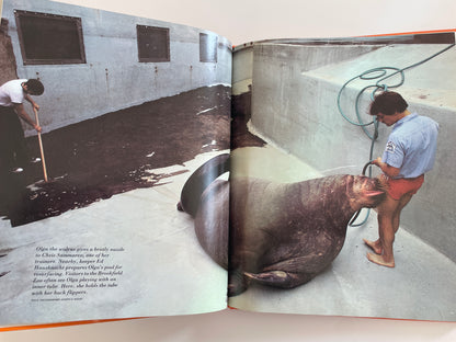 Zoos Without Cages