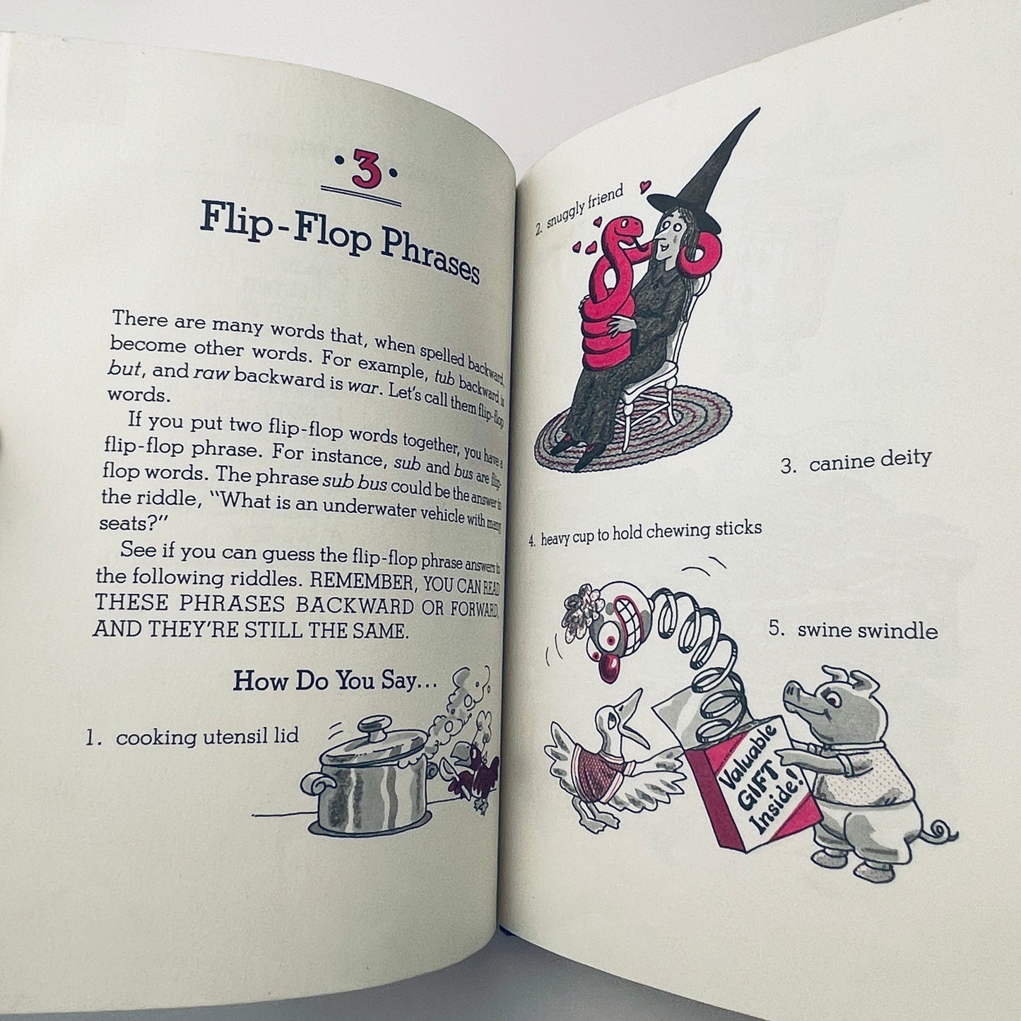 Too Hot to Hoot: Funny Palindrome Riddles